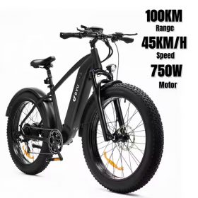 DYV KING750MTB _00