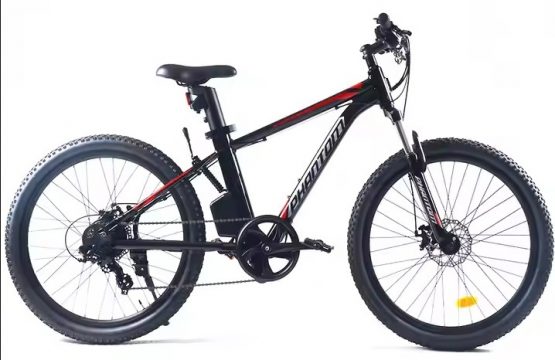 Ebike green power _2