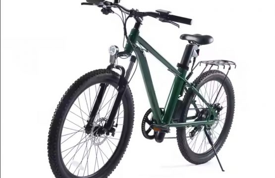 Ebike green power _3