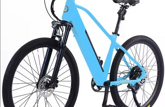 Electric bike AVERIL-MTB _2.a