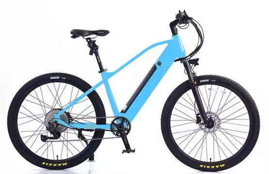 Electric bike AVERIL-MTB _2.b